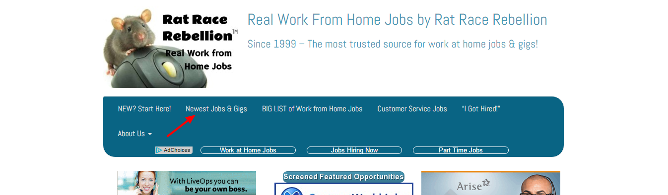 Simplify your work from home job search with Rat Race Rebellion! 